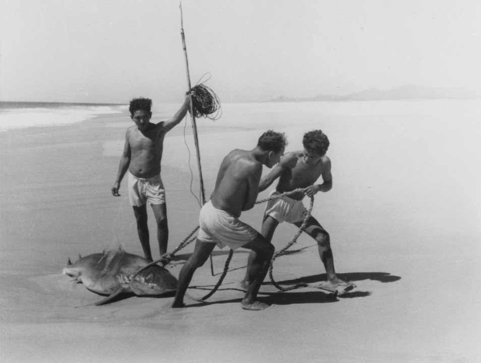 Pêcheurs de requins (Acapulco), 1950 © Lola Álvares Bravo