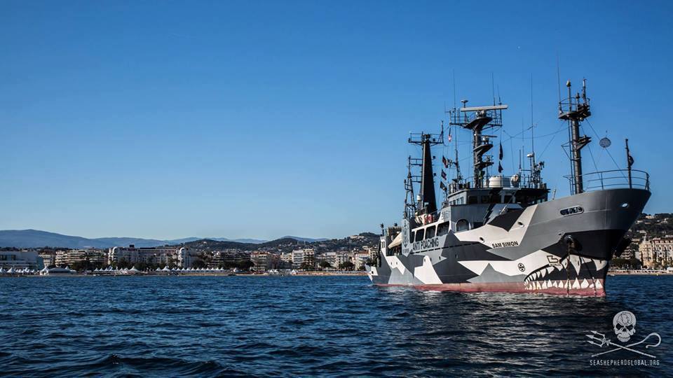 Sea ShepherdLe Sam Simon lors de son arrêt à la croisette © Sea Shepherd