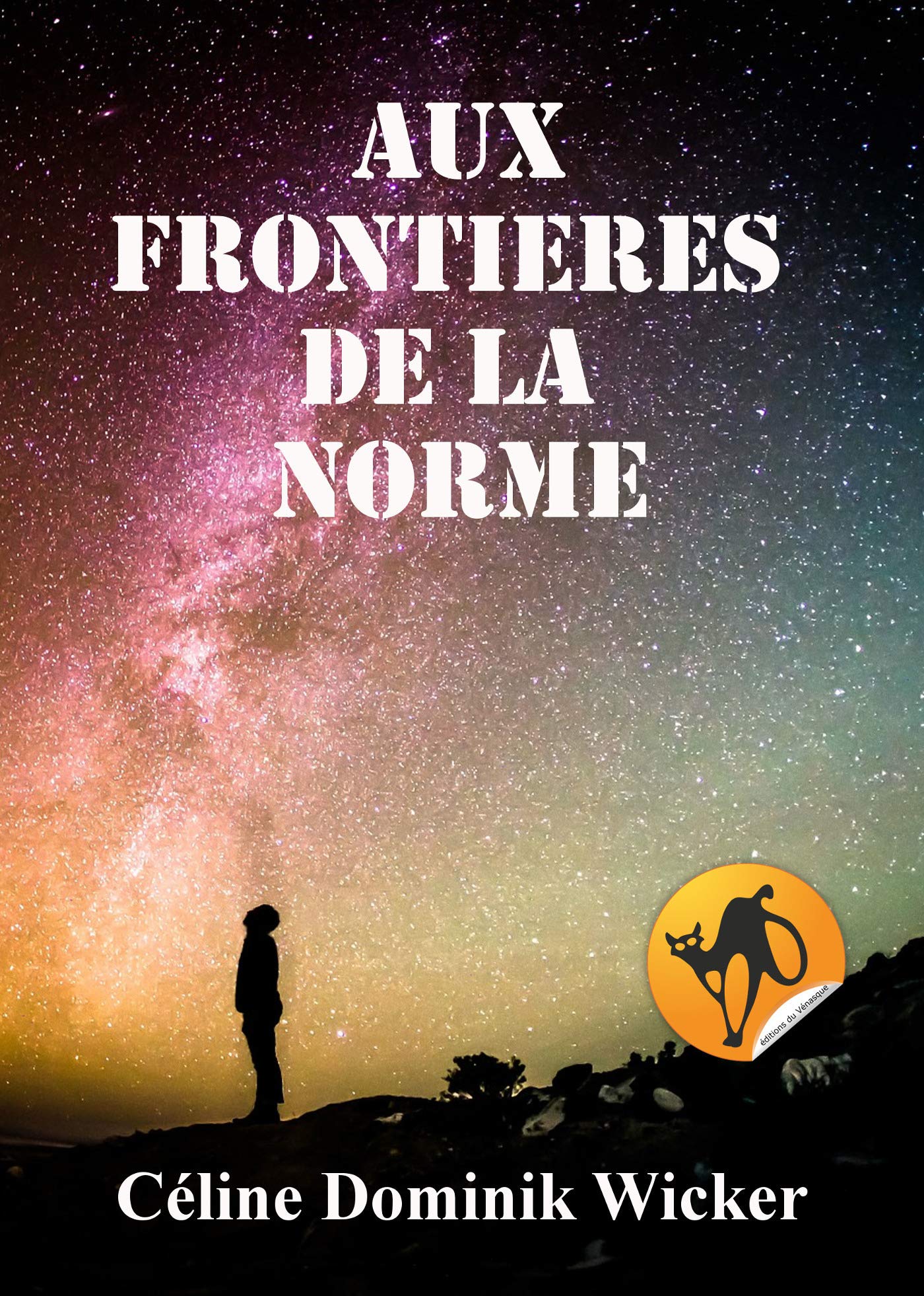 Aux frontières de la norme Couverture du livre